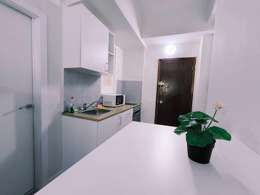Apartamentos Carrillo 7 サンタクルスデテネリフェ エクステリア 写真